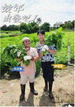一路吃到底 综艺海报 路边小馆